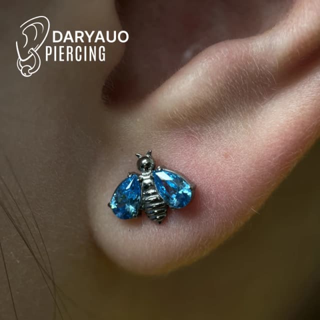 Wygojony piercing płatka ucha wykonany przez Daryauo z niebieską biżuterią.